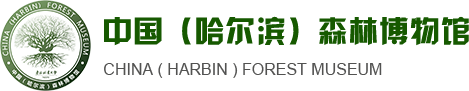 2026世界杯足球官网